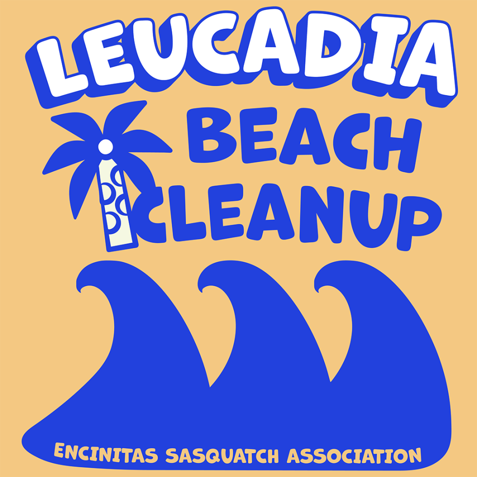 Beach Cleanup